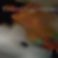 Horny fucking pooping